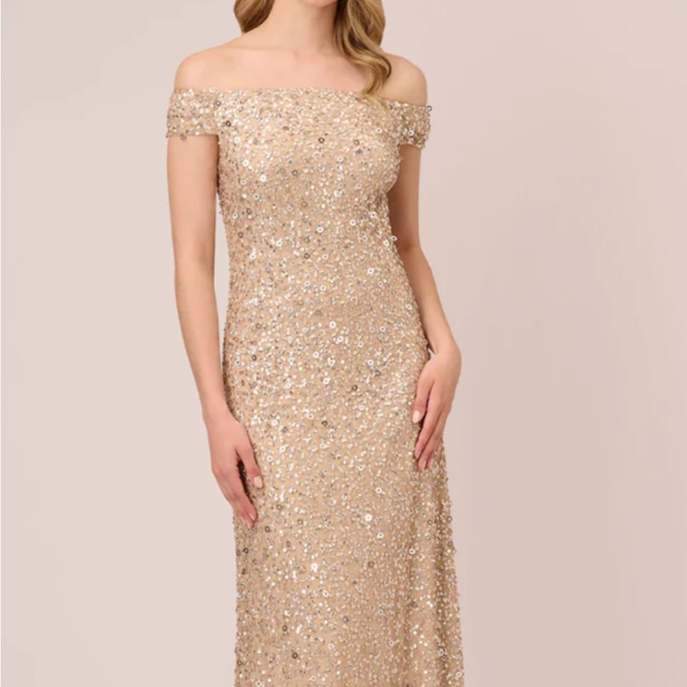 Adrianna PAPELL, sequin gown, size 8, NEVER WORN OR ALTERED…. paid 300.00